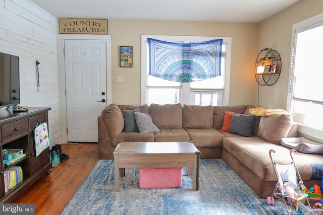 living room with wood walls and dark hardwood / wood-style floors