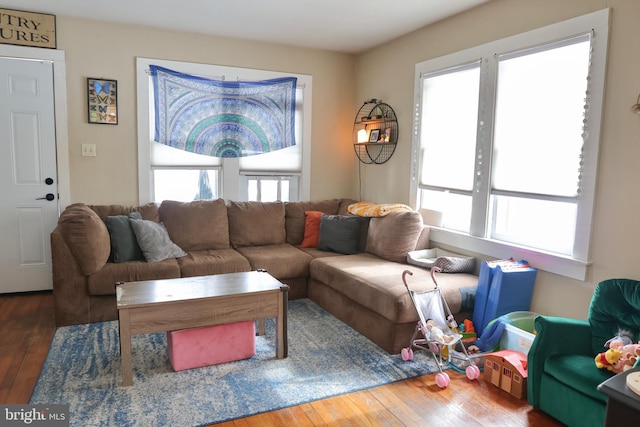 living room with dark wood-type flooring and plenty of natural light