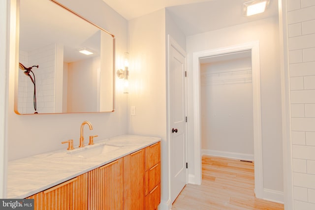 bathroom with hardwood / wood-style flooring and vanity