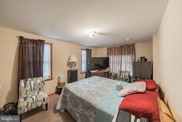 bedroom featuring carpet floors