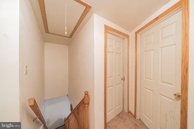 hallway with light colored carpet