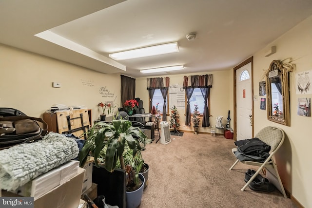 miscellaneous room featuring carpet floors