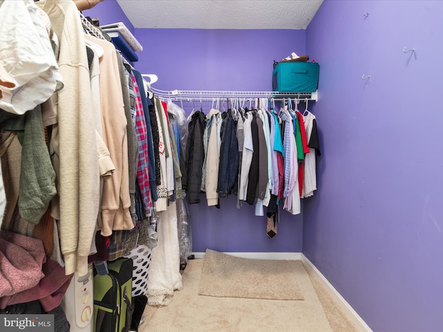 walk in closet with carpet flooring