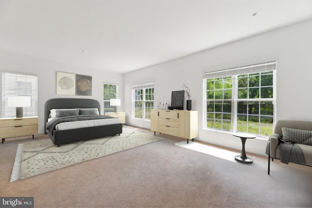 view of carpeted bedroom