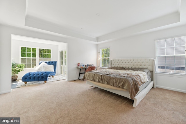 carpeted bedroom featuring a raised ceiling