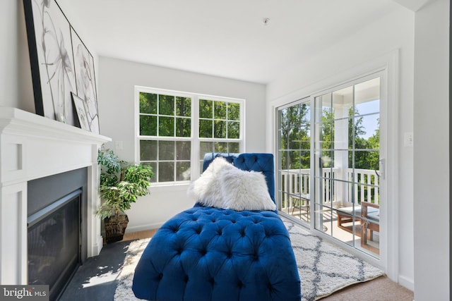 living area with carpet