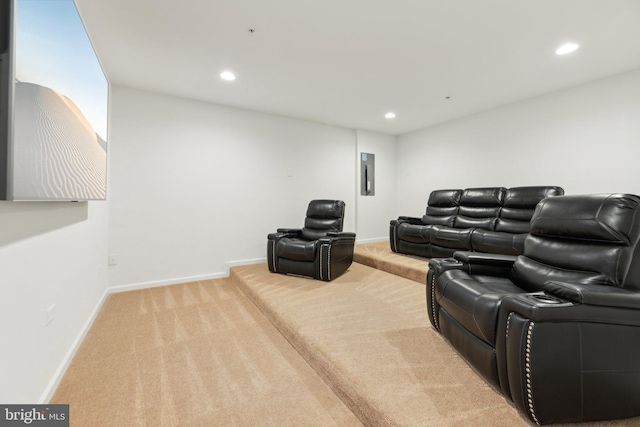 carpeted cinema room featuring electric panel