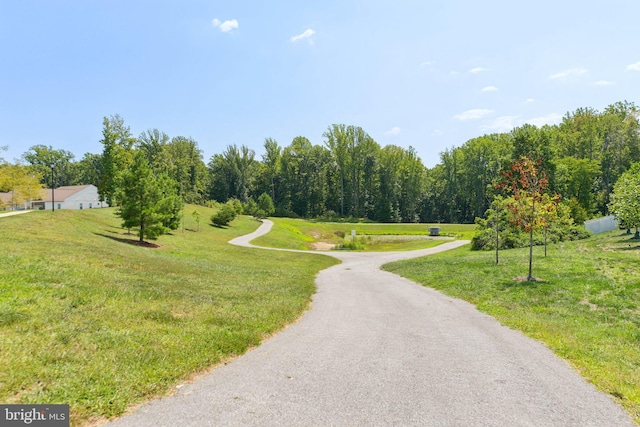 view of home's community with a yard