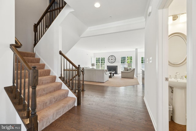 foyer entrance with sink, dark hardwood / wood-style flooring, and crown molding