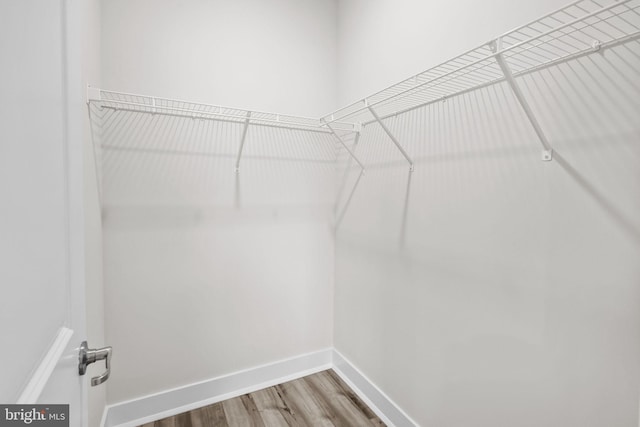 spacious closet featuring hardwood / wood-style flooring