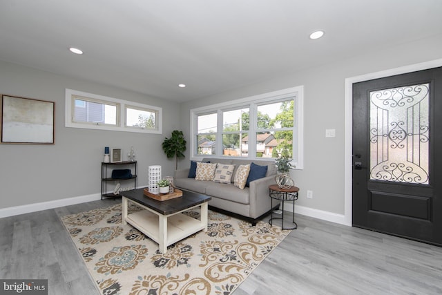 living room featuring light hardwood / wood-style floors