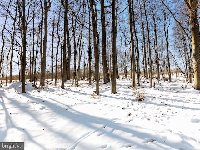 view of yard covered in snow