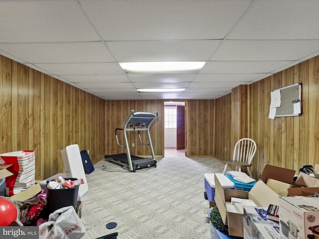 exercise room featuring carpet flooring, a drop ceiling, and wood walls