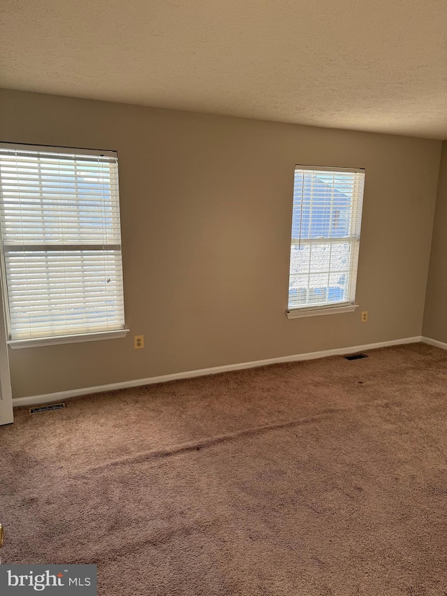 carpeted spare room with plenty of natural light