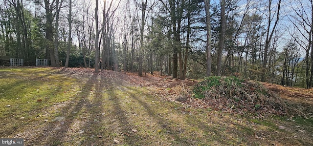 view of landscape