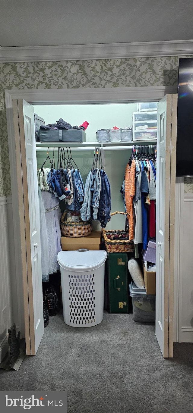 view of closet