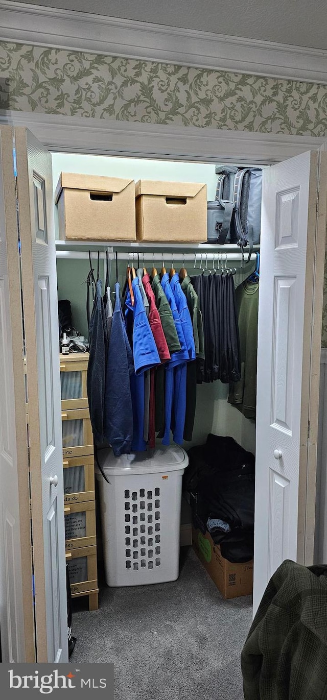 view of closet