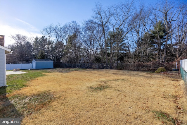 view of yard with a shed