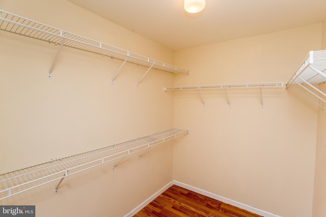 walk in closet with wood-type flooring