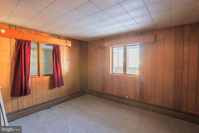 spare room featuring wooden walls and carpet