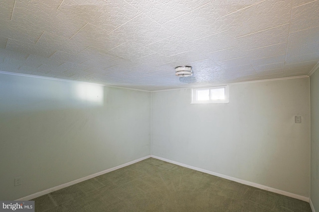 basement featuring carpet floors