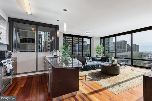 interior space with gas stove, dark hardwood / wood-style floors, a wall of windows, and sink