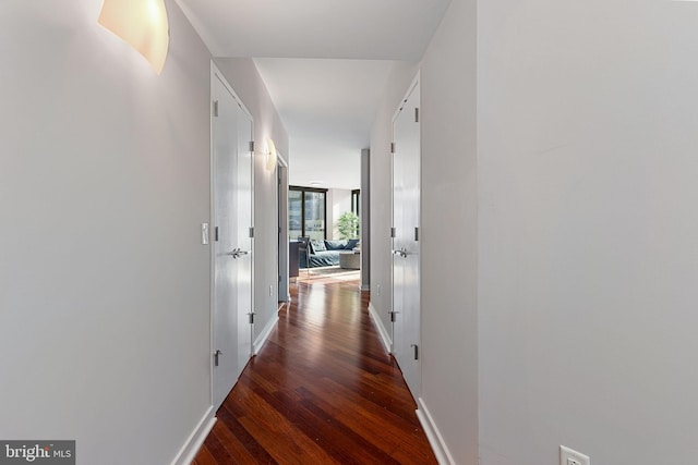 hall featuring floor to ceiling windows and dark wood-type flooring