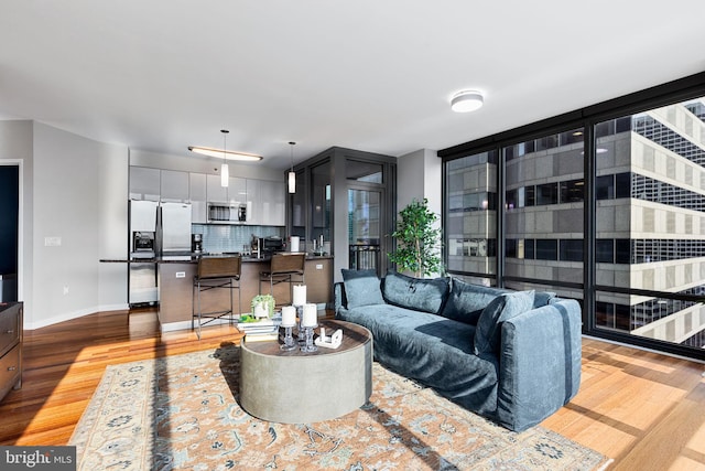 living room featuring light hardwood / wood-style flooring