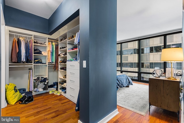 spacious closet with hardwood / wood-style floors