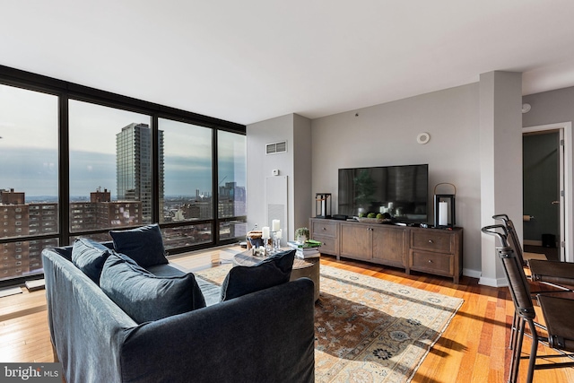 living room featuring light hardwood / wood-style floors and expansive windows