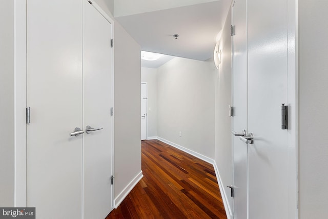 hallway with dark wood-type flooring