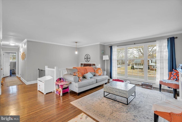 living room featuring wood-type flooring and ornamental molding