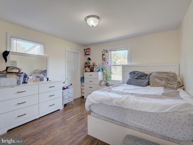 bedroom with multiple windows and dark hardwood / wood-style floors