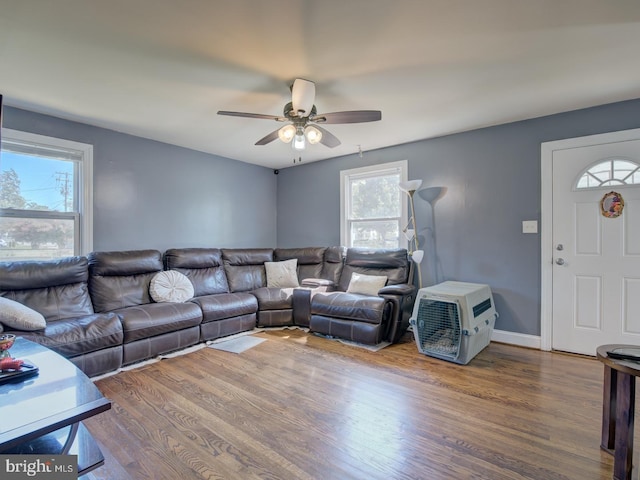 living room featuring ceiling fan and wood-type flooring