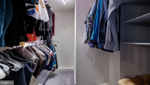 walk in closet featuring carpet floors