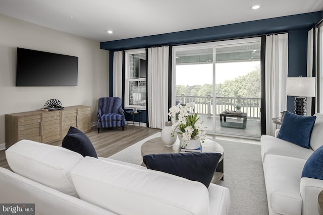 living room with light hardwood / wood-style flooring