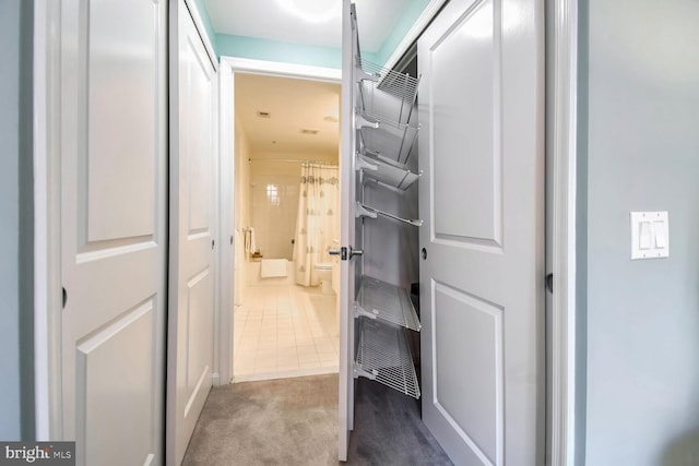 walk in closet with light colored carpet