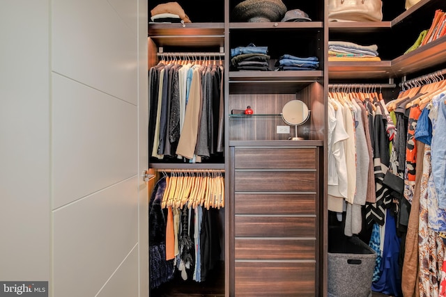 601 Wharf SW Unit 1007, Washington, DC 20024 - view of spacious closet