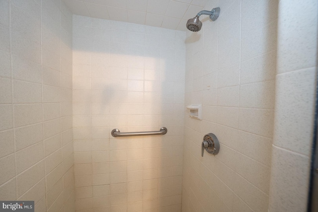 full bathroom with tiled shower