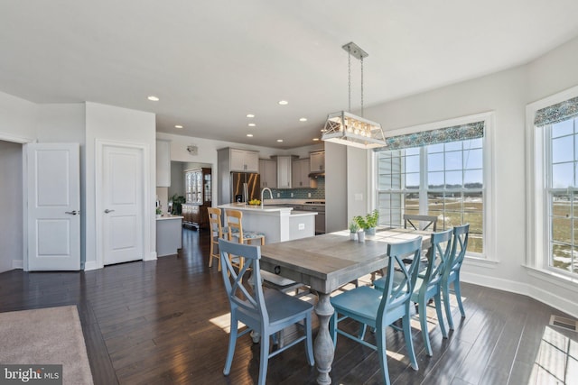 dining room featuring sink and dark wood-type flooring