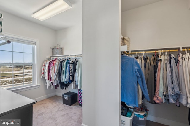 spacious closet with light colored carpet