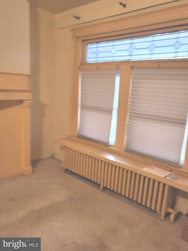 interior space featuring radiator heating unit and carpet floors