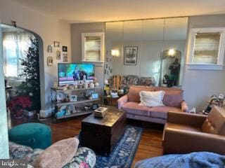 living room featuring hardwood / wood-style floors