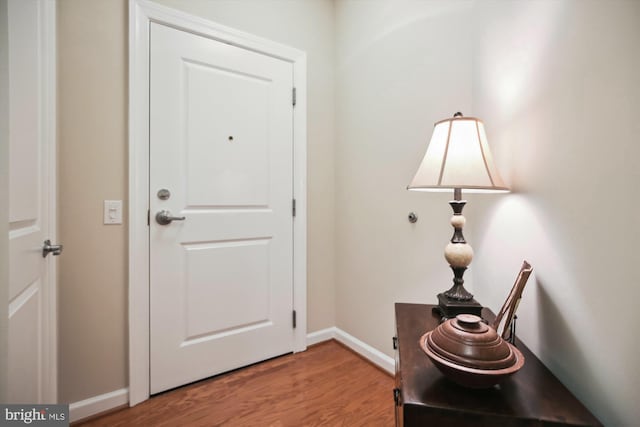 entrance foyer featuring hardwood / wood-style flooring