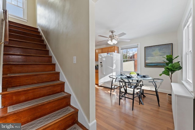 stairs with ceiling fan and hardwood / wood-style flooring