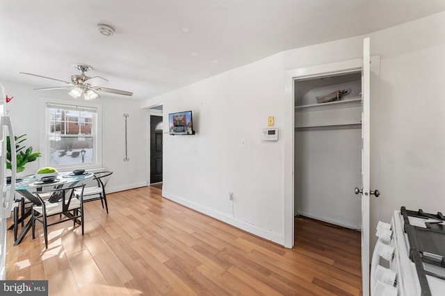 dining area with ceiling fan and light hardwood / wood-style floors