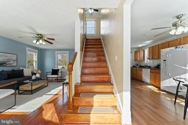 stairway featuring hardwood / wood-style flooring and plenty of natural light