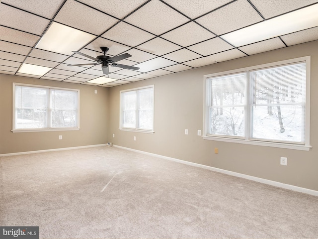 spare room with a wealth of natural light, ceiling fan, a drop ceiling, and light carpet