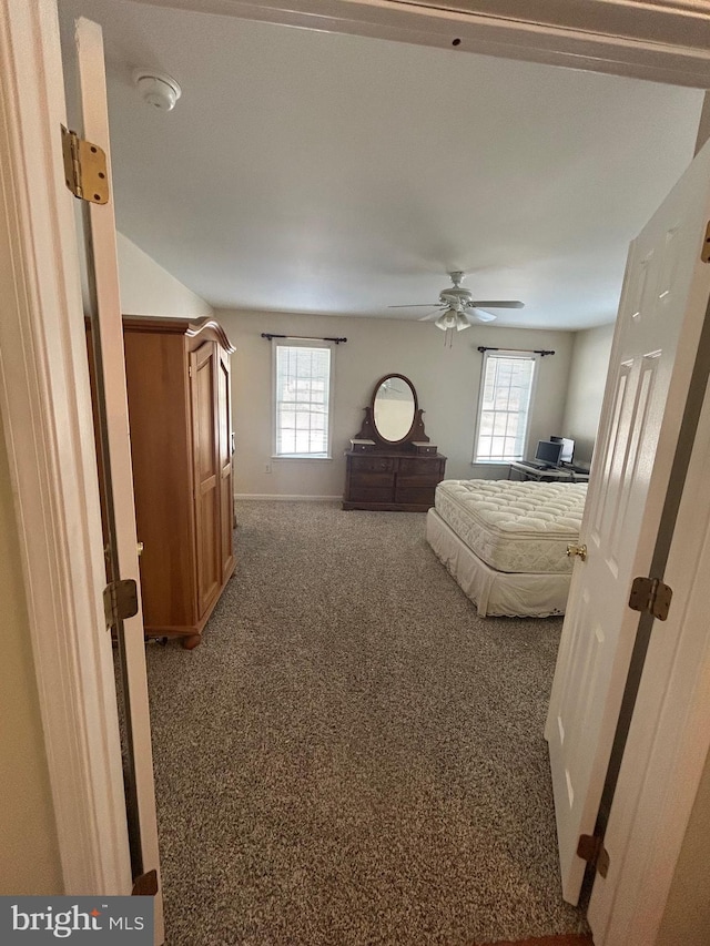 carpeted bedroom with ceiling fan and multiple windows