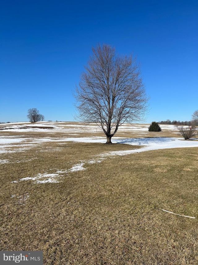 view of yard layered in snow